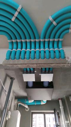 寵物服務行業(yè)廢氣治理 環(huán)保責任與綠色轉型之路